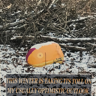 This Winter Has Taken..